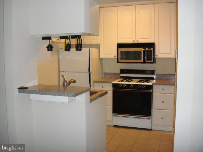 21001 Timber Ridge Terrace, Unit 104 Ashburn, VA 20147 - Photo 4 of 6 Kitchen #2