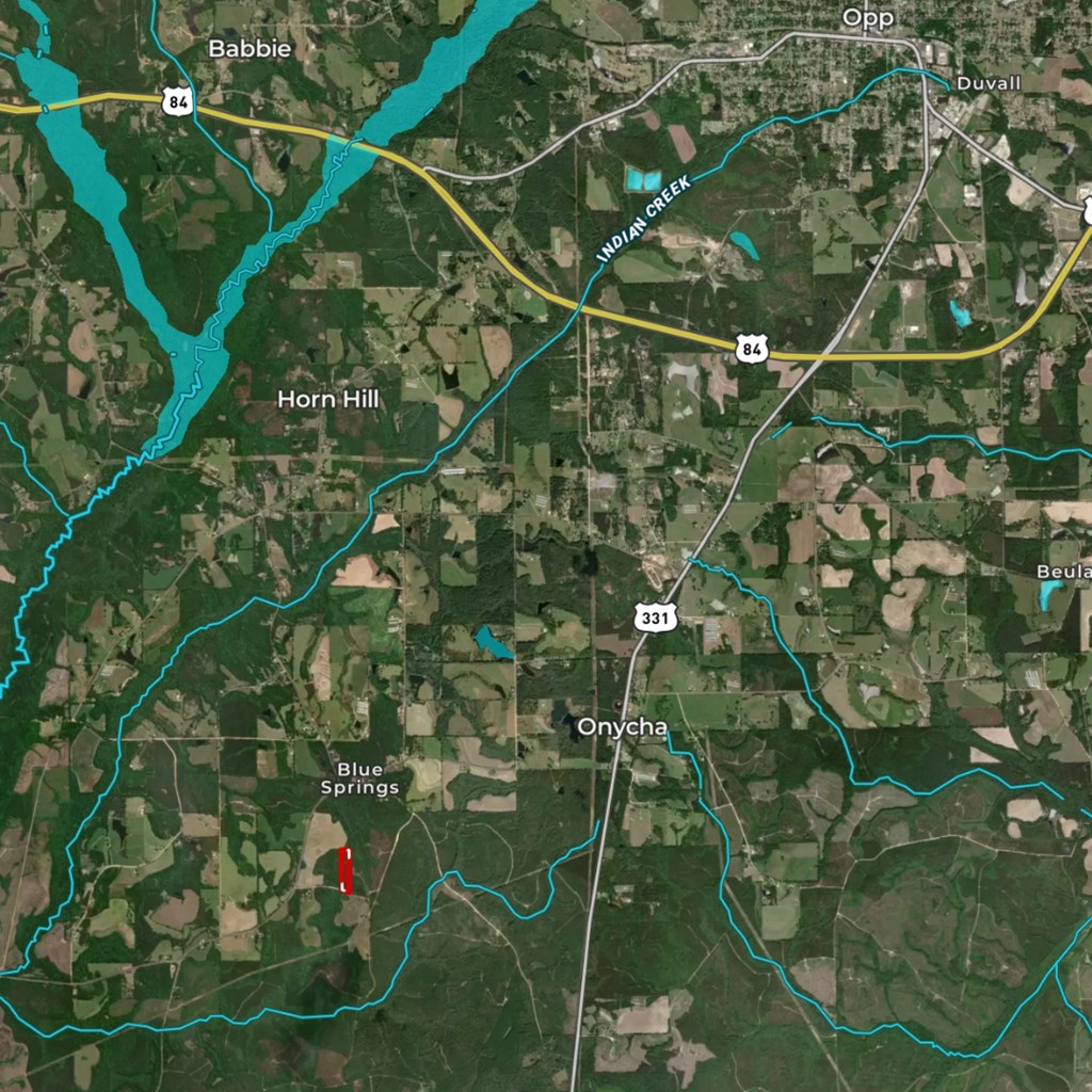 Lot #3 Crosby Clark Road Opp, AL 36467 - Photo 15 of 15