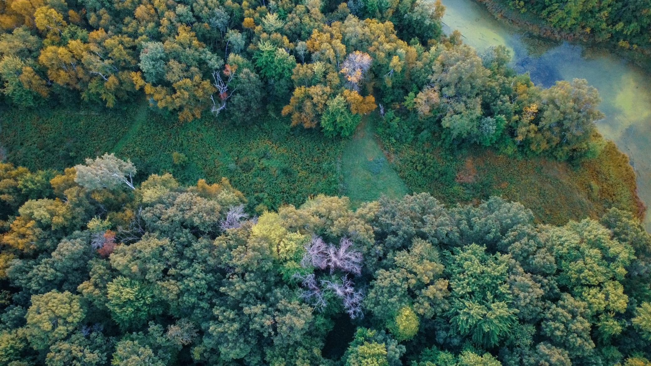 1174 230th Street Baldwin, WI 54002 - Photo 14 of 62