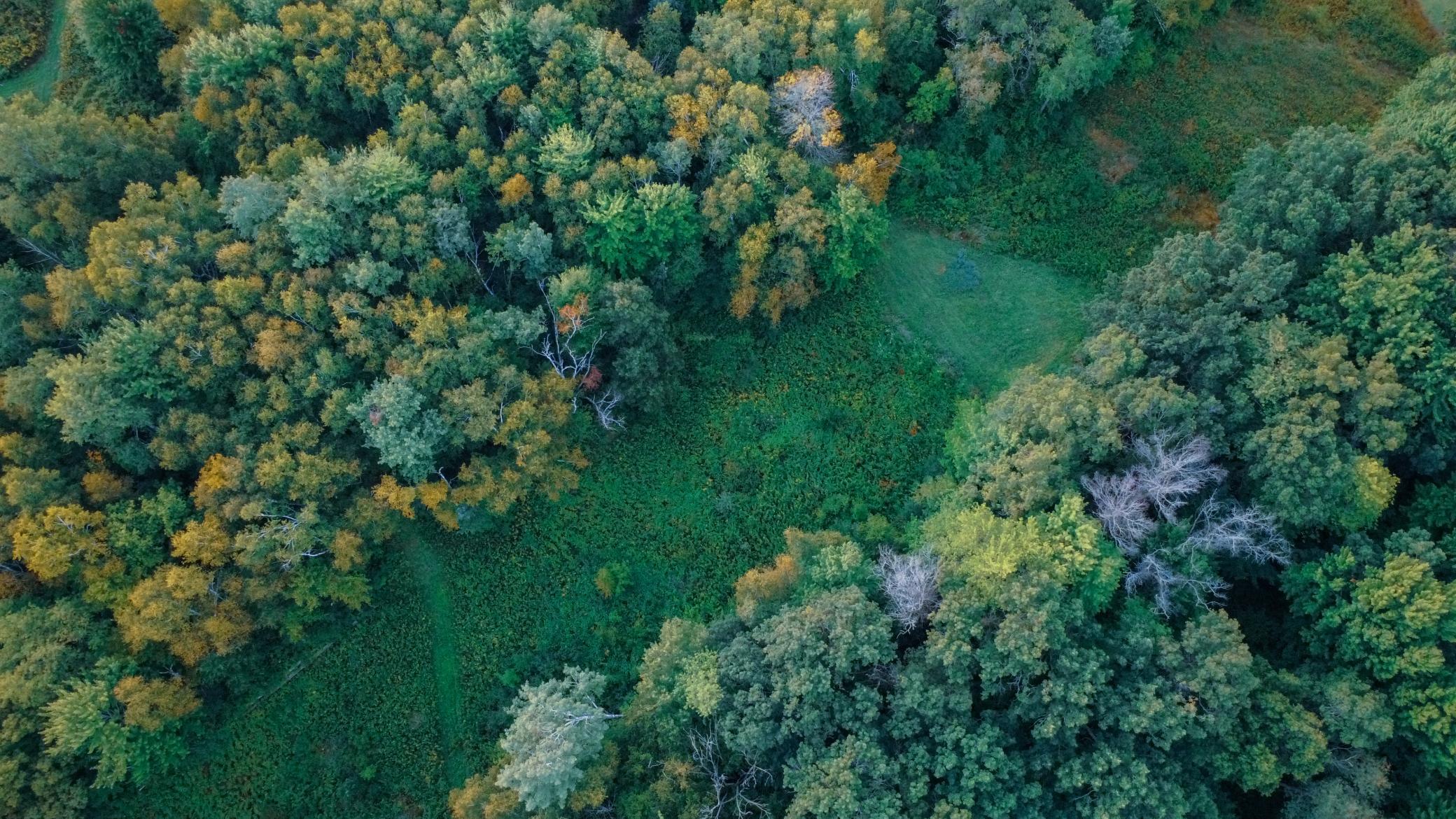 1174 230th Street Baldwin, WI 54002 - Photo 15 of 62