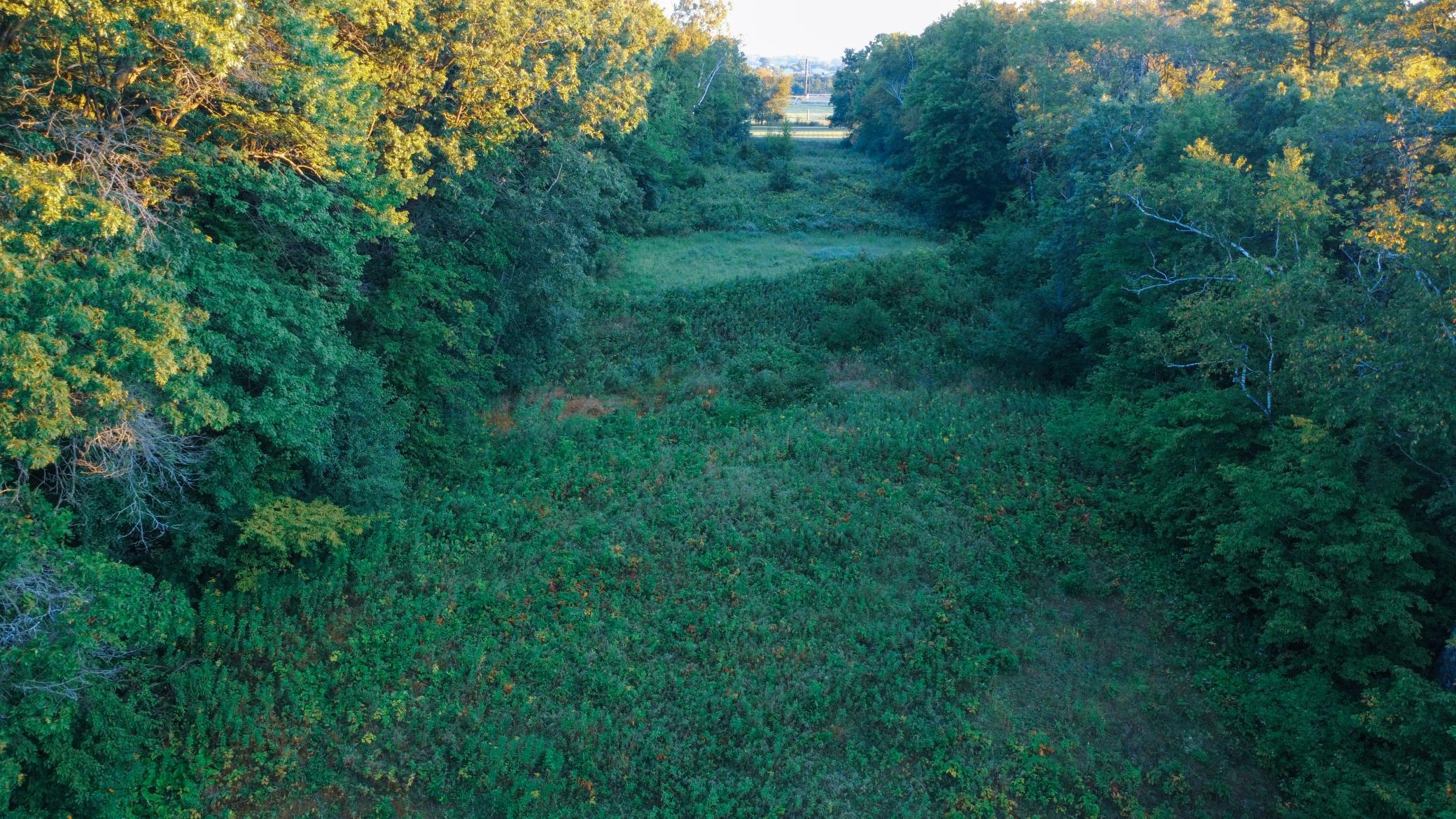 1174 230th Street Baldwin, WI 54002 - Photo 17 of 62