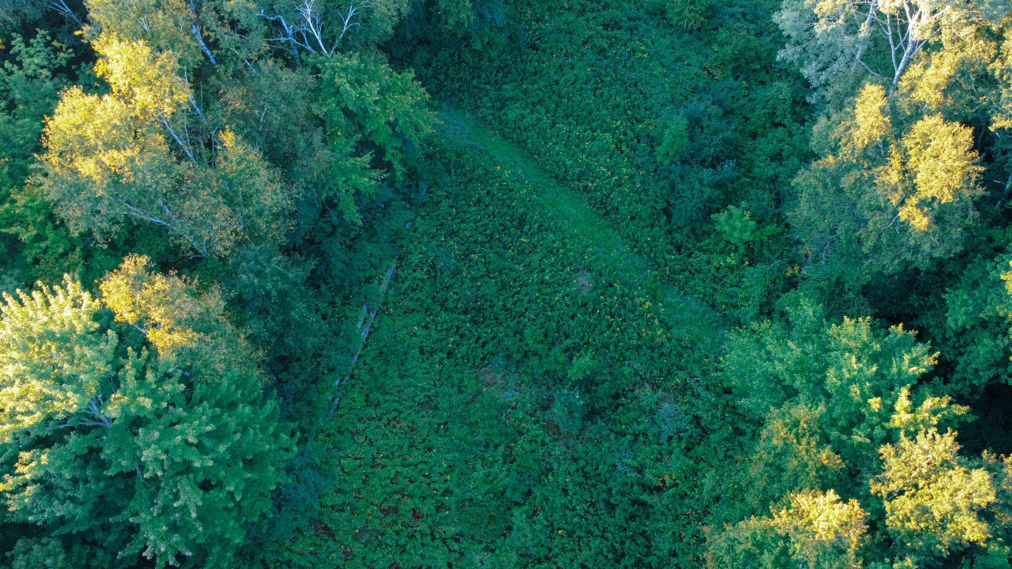 1174 230th Street Baldwin, WI 54002 - Photo 18 of 62