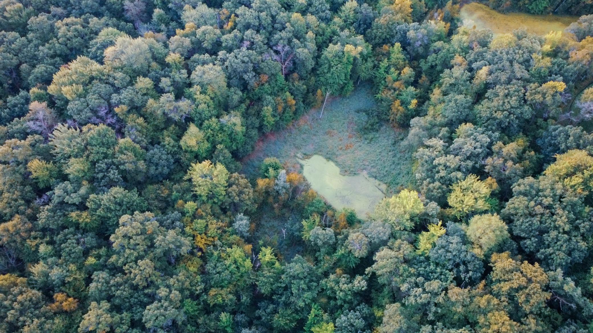 1174 230th Street Baldwin, WI 54002 - Photo 19 of 62