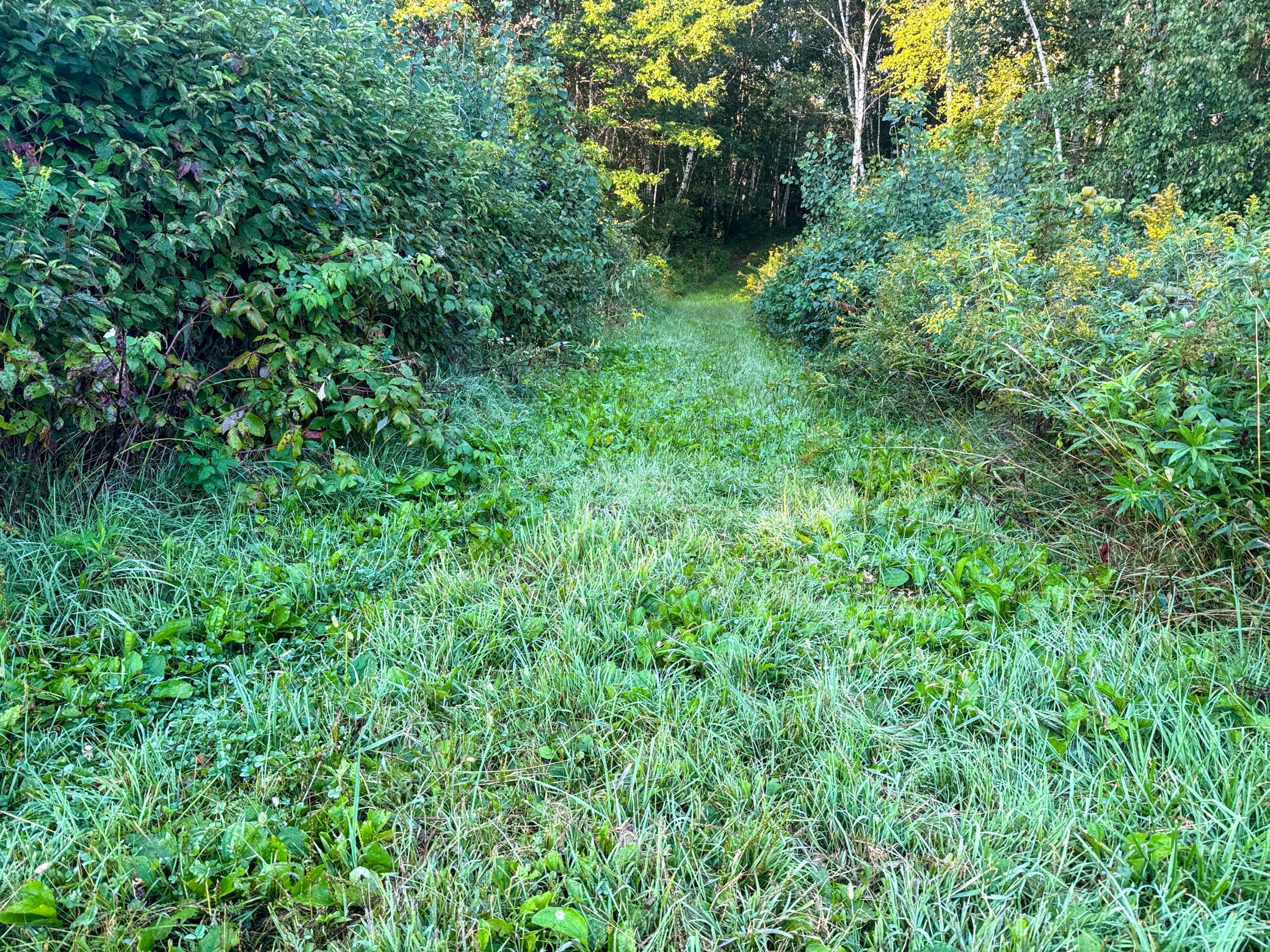 1174 230th Street Baldwin, WI 54002 - Photo 28 of 62