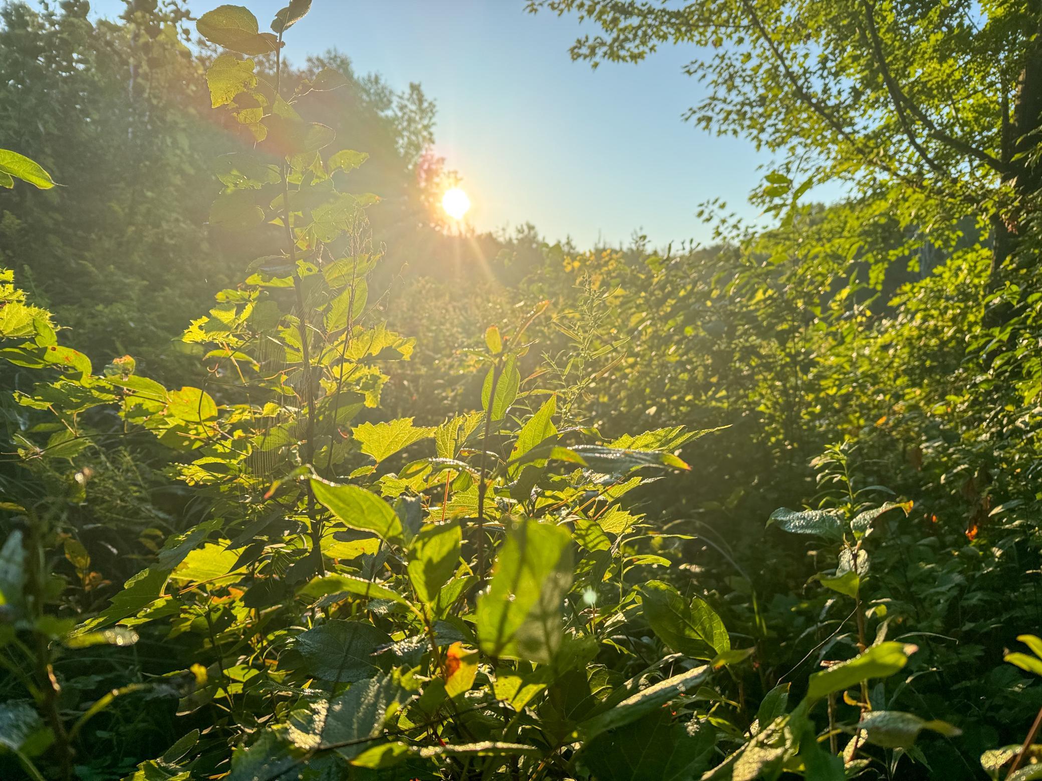 1174 230th Street Baldwin, WI 54002 - Photo 29 of 62