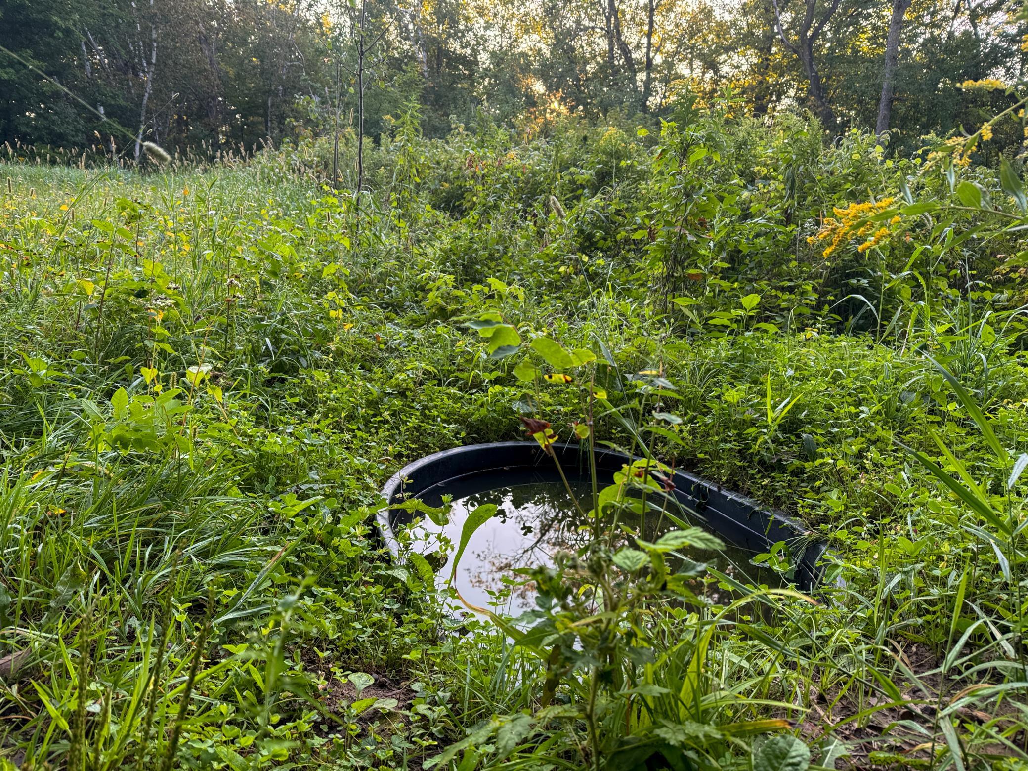 1174 230th Street Baldwin, WI 54002 - Photo 30 of 62