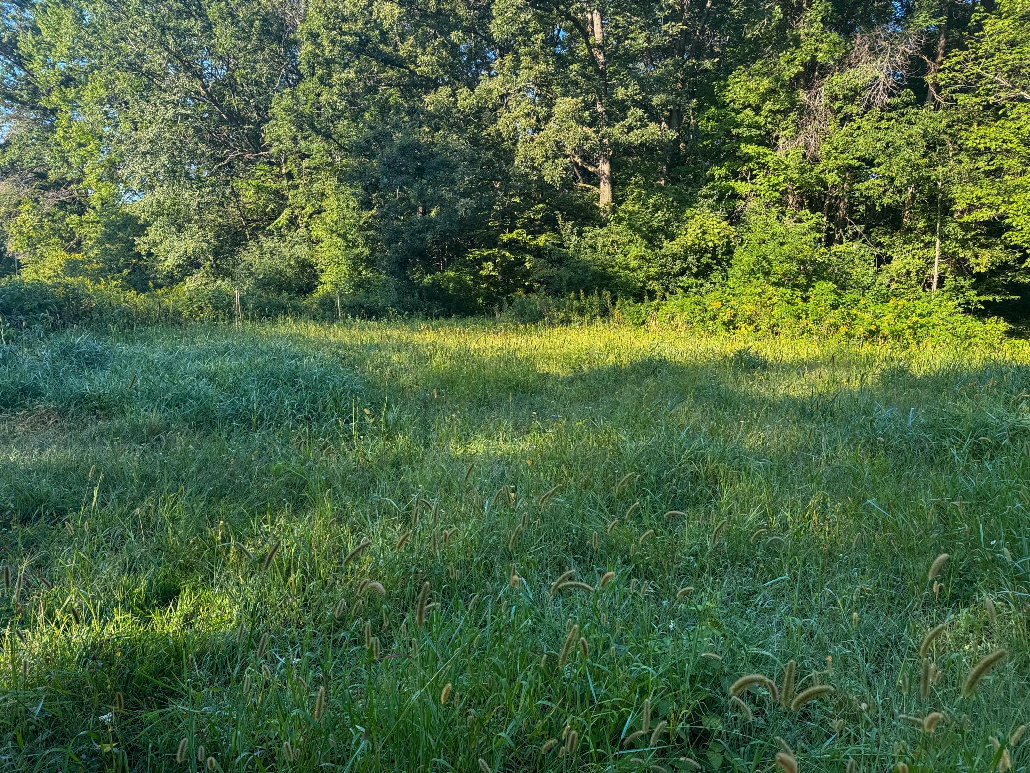 1174 230th Street Baldwin, WI 54002 - Photo 31 of 62