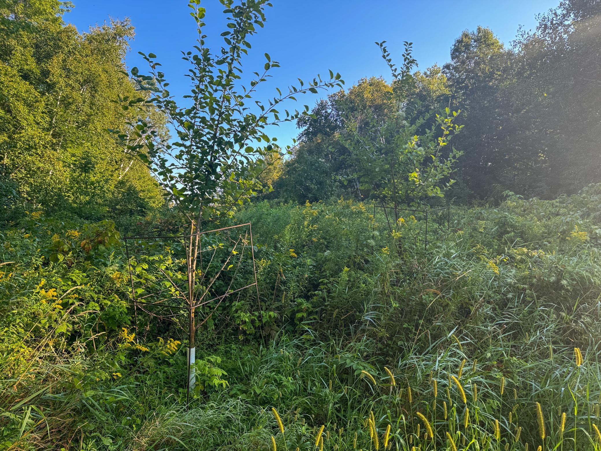 1174 230th Street Baldwin, WI 54002 - Photo 32 of 62