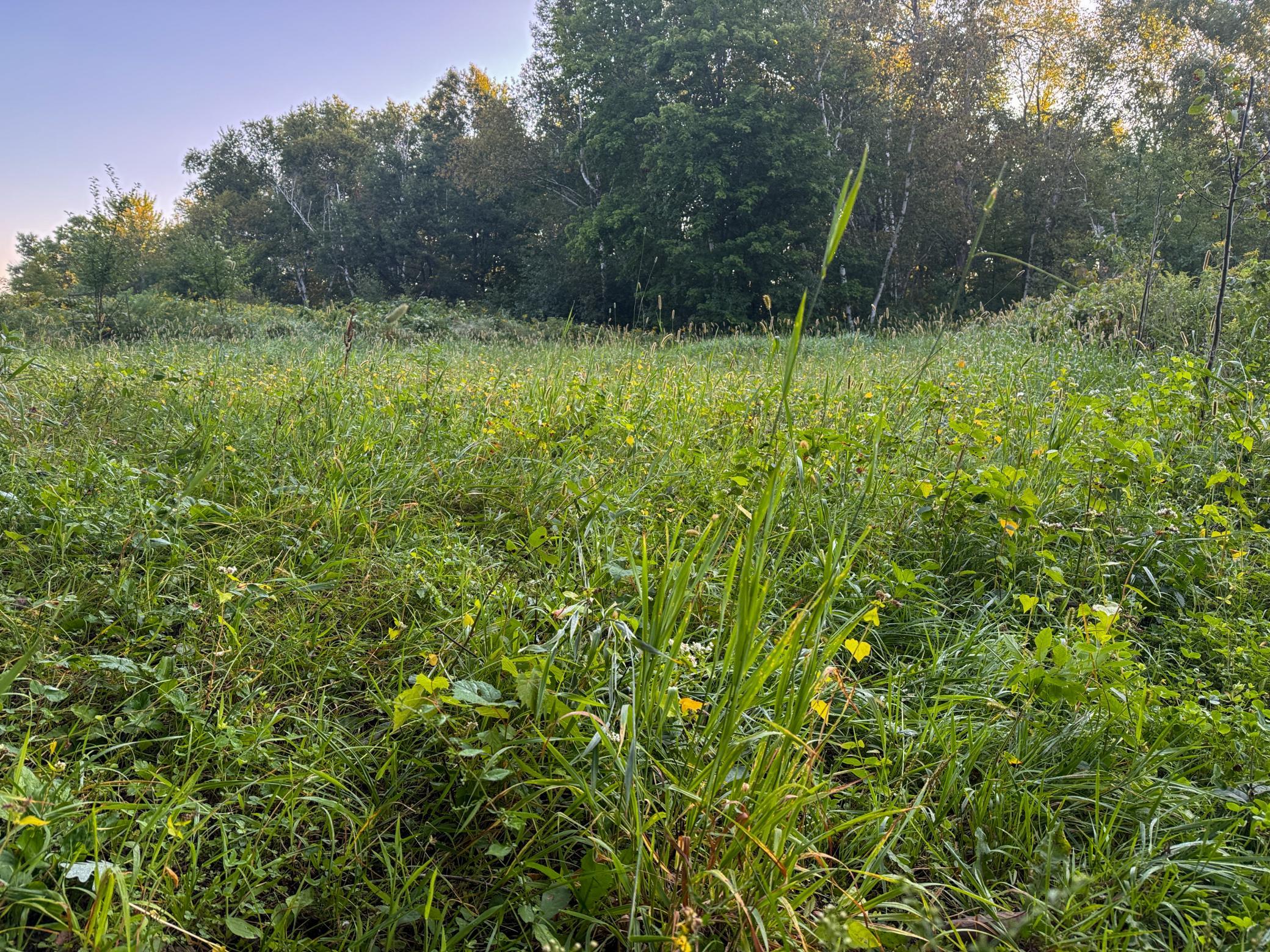 1174 230th Street Baldwin, WI 54002 - Photo 33 of 62