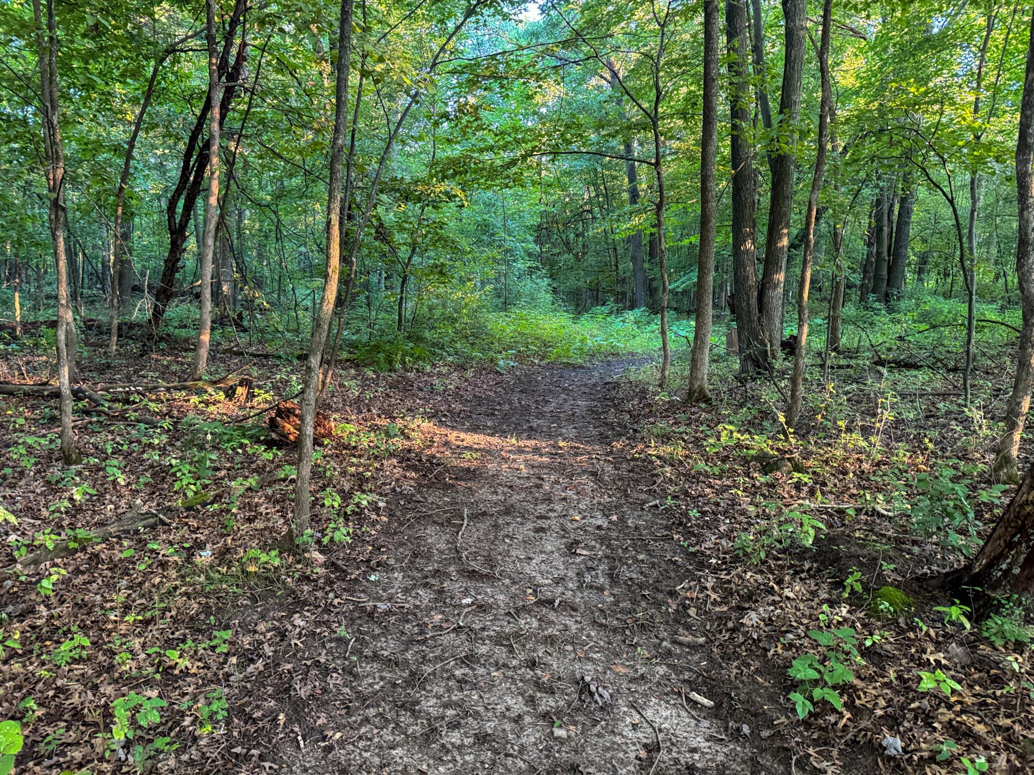 1174 230th Street Baldwin, WI 54002 - Photo 35 of 62