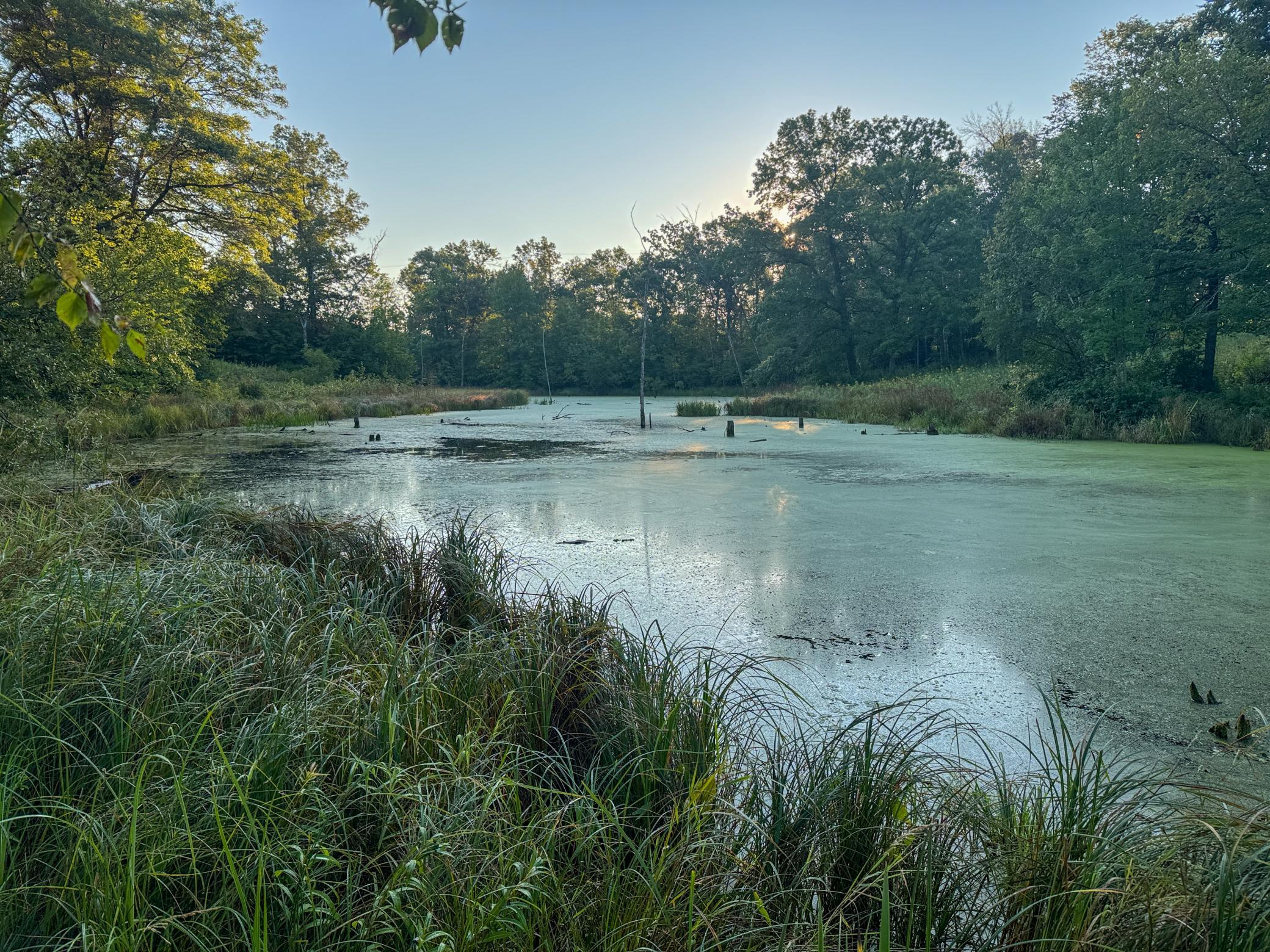 1174 230th Street Baldwin, WI 54002 - Photo 37 of 62