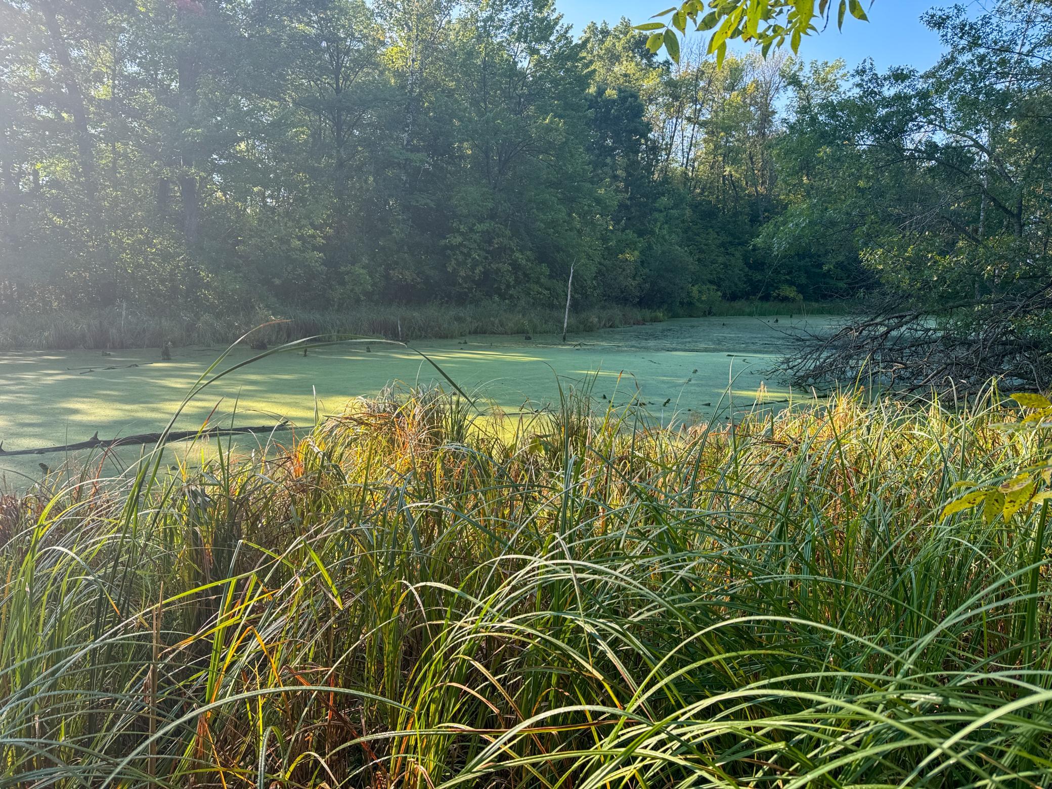 1174 230th Street Baldwin, WI 54002 - Photo 38 of 62