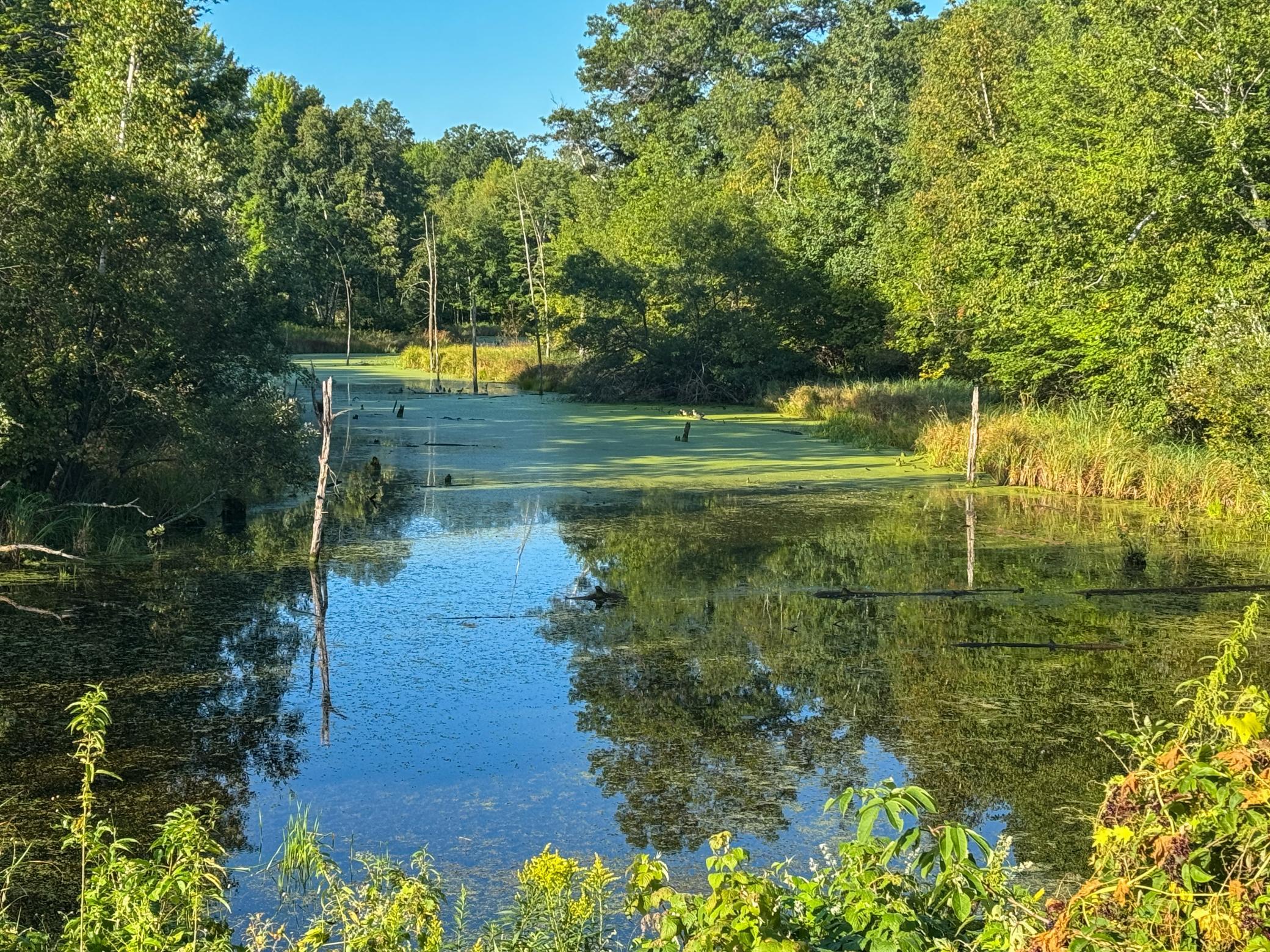 1174 230th Street Baldwin, WI 54002 - Photo 39 of 62