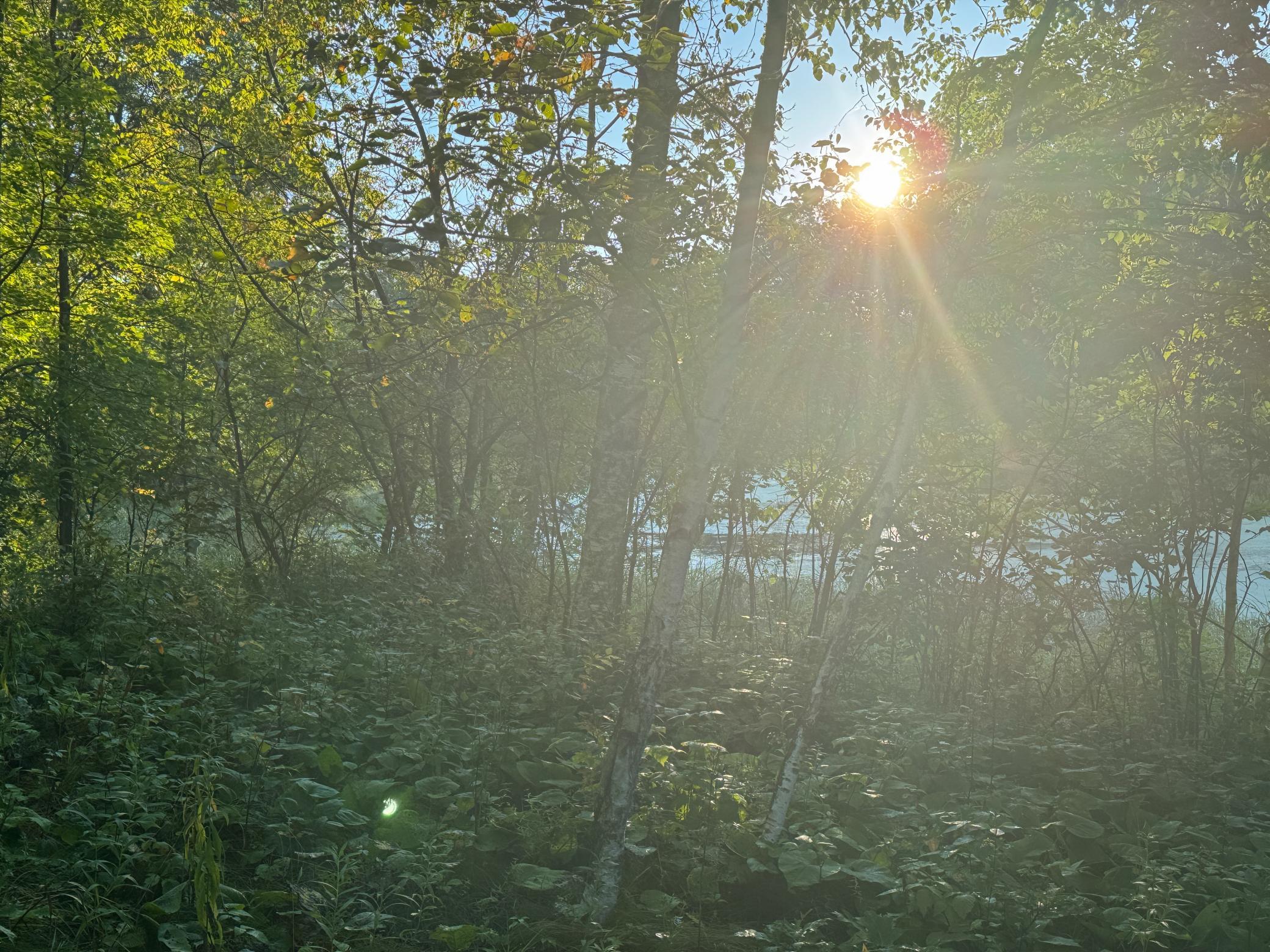 1174 230th Street Baldwin, WI 54002 - Photo 40 of 62