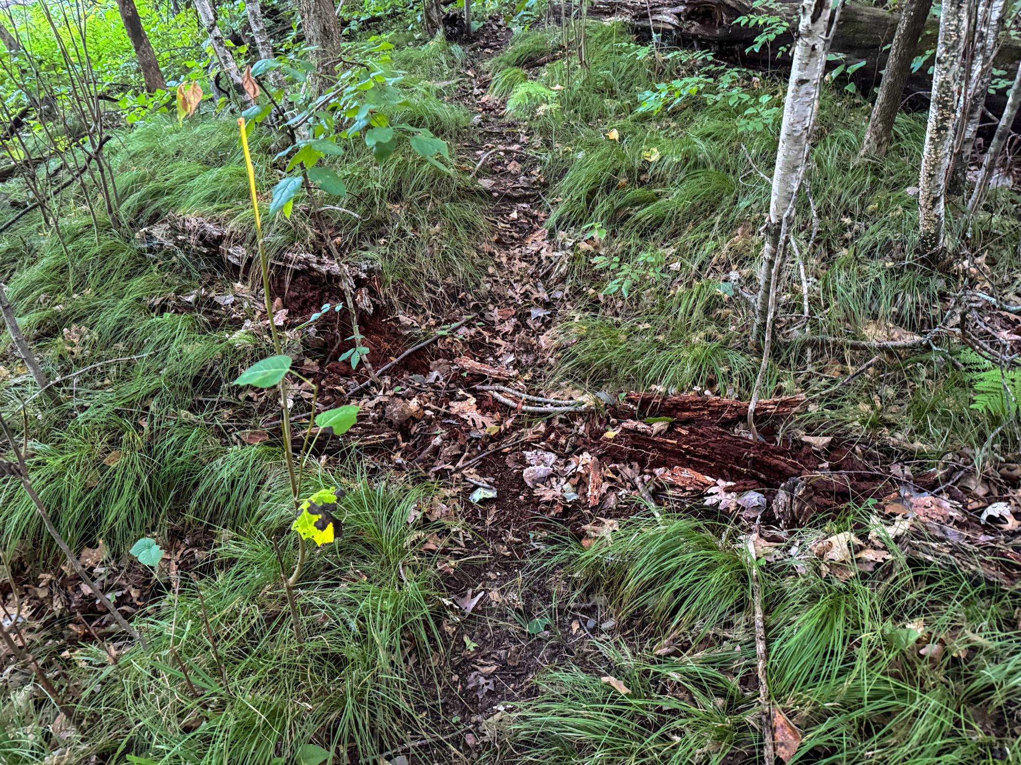 1174 230th Street Baldwin, WI 54002 - Photo 42 of 62