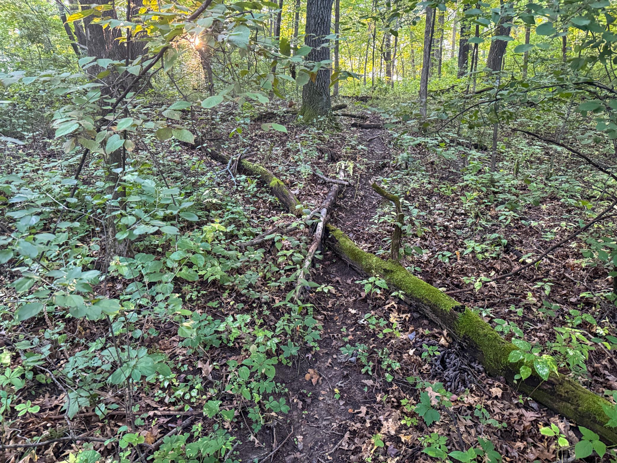 1174 230th Street Baldwin, WI 54002 - Photo 43 of 62