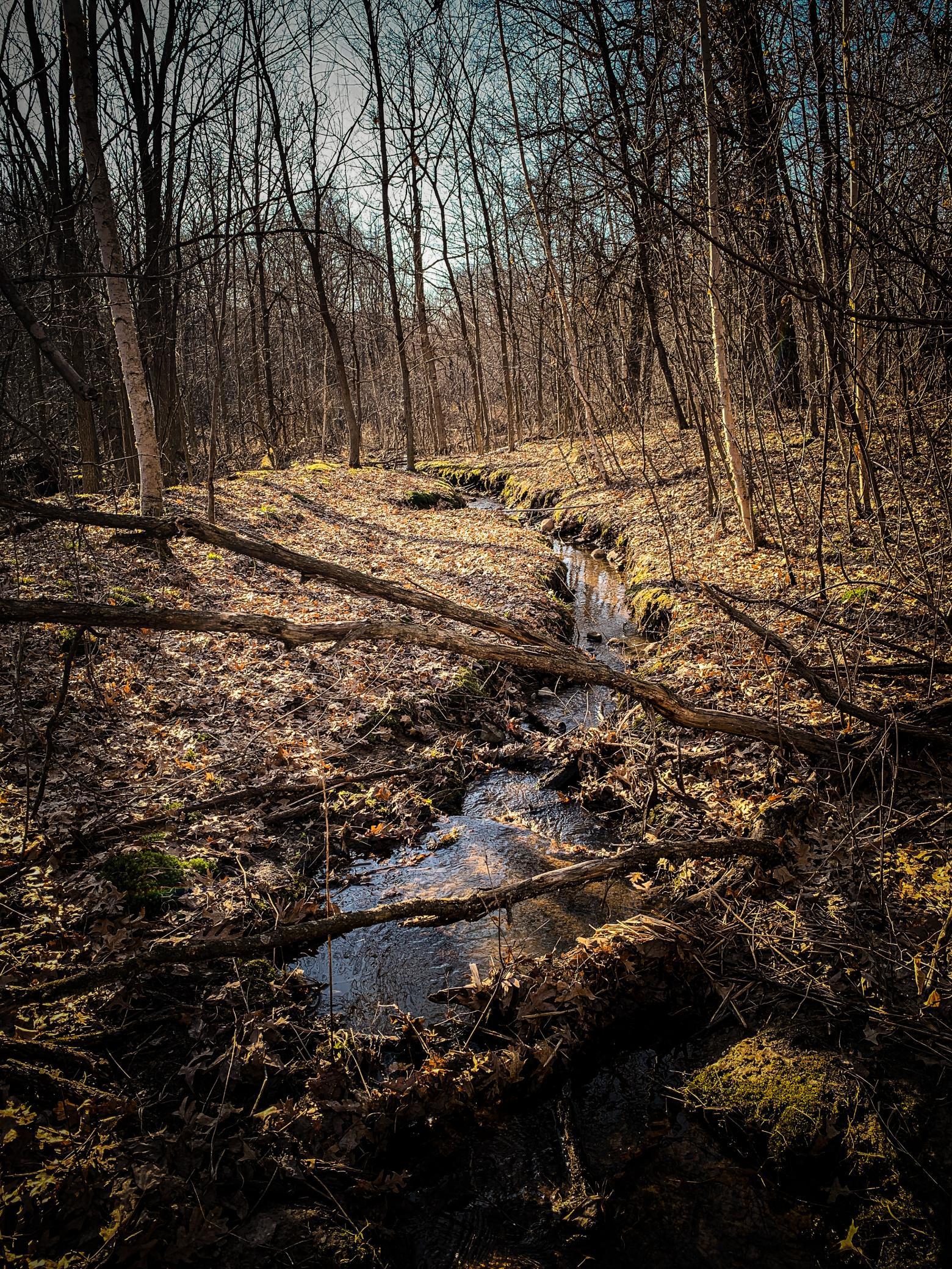 1174 230th Street Baldwin, WI 54002 - Photo 44 of 62