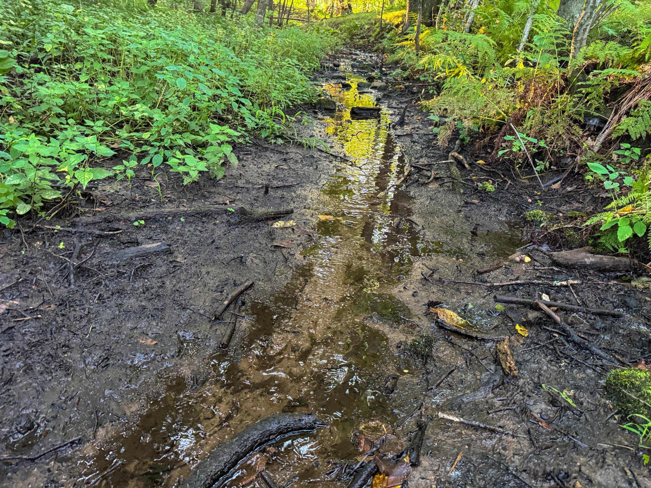 1174 230th Street Baldwin, WI 54002 - Photo 45 of 62