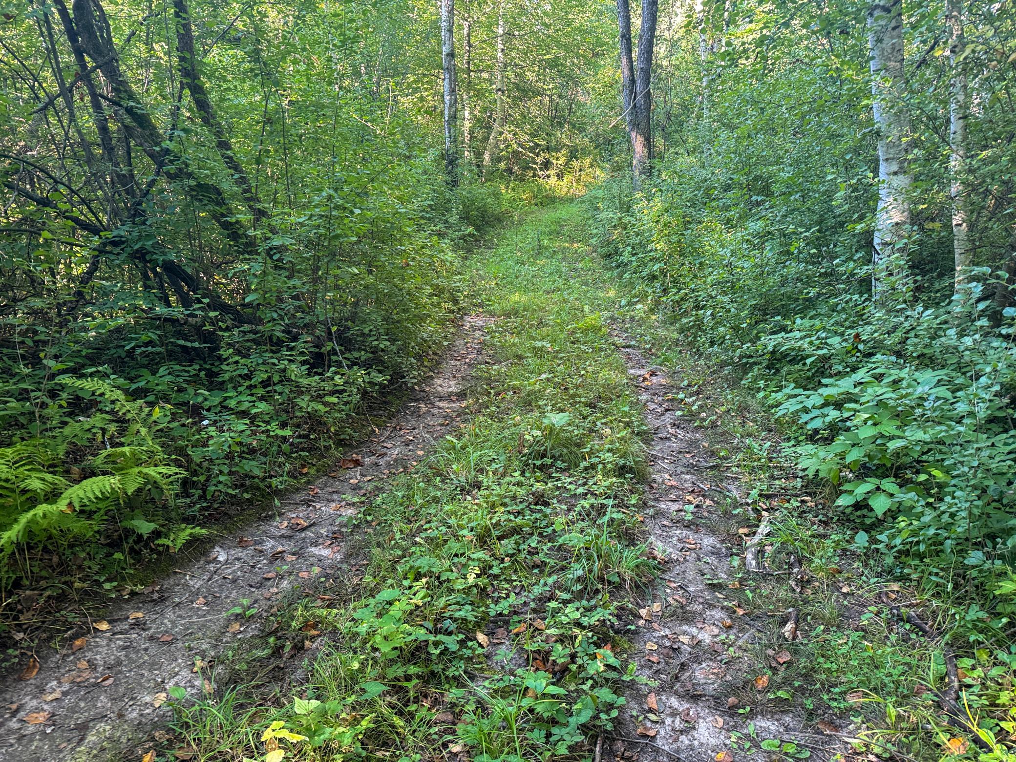 1174 230th Street Baldwin, WI 54002 - Photo 46 of 62