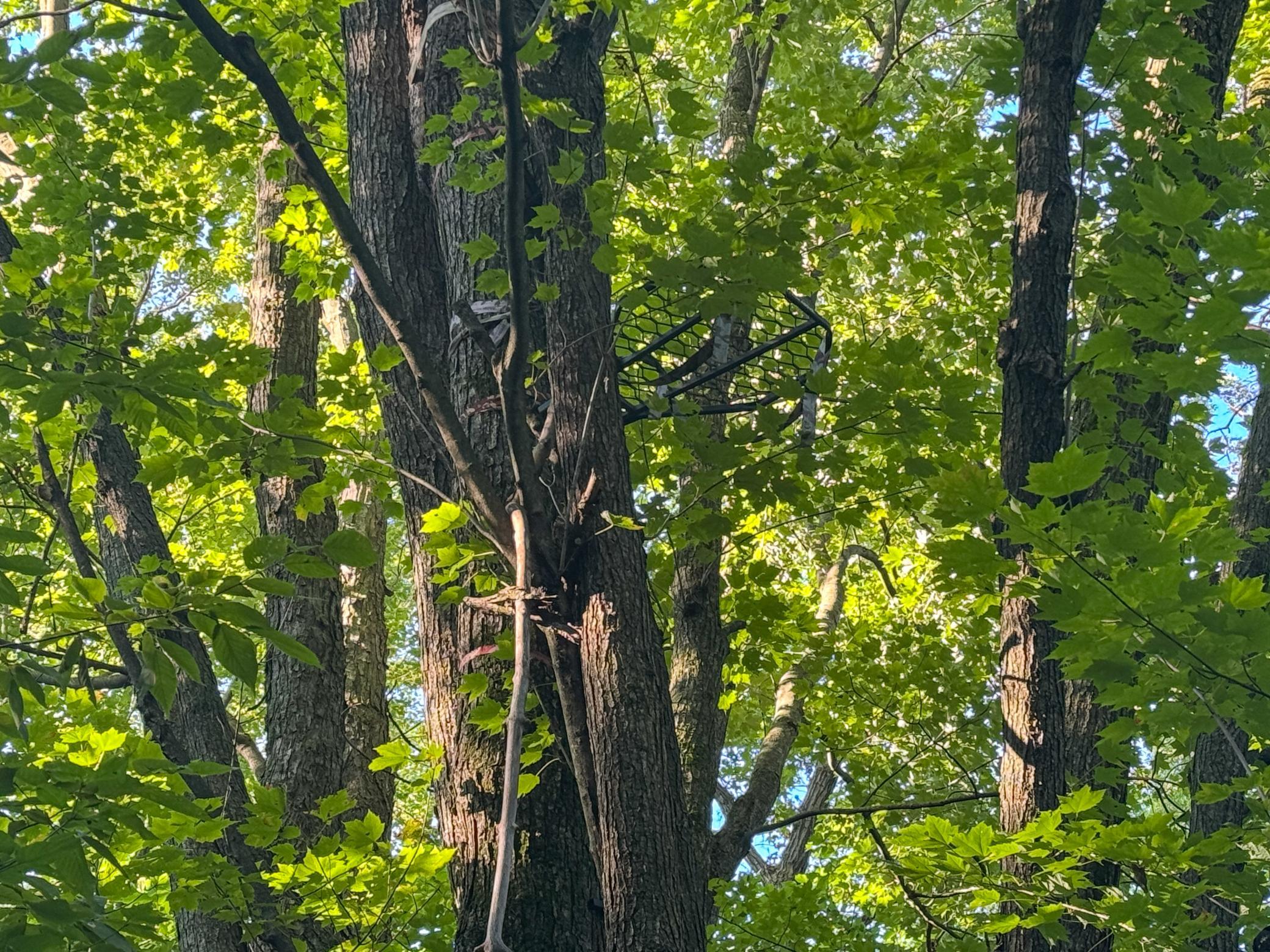 1174 230th Street Baldwin, WI 54002 - Photo 47 of 62