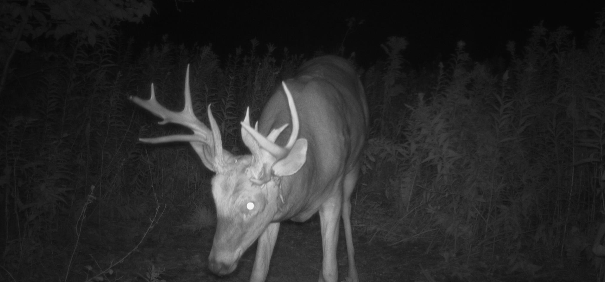 1174 230th Street Baldwin, WI 54002 - Photo 51 of 62