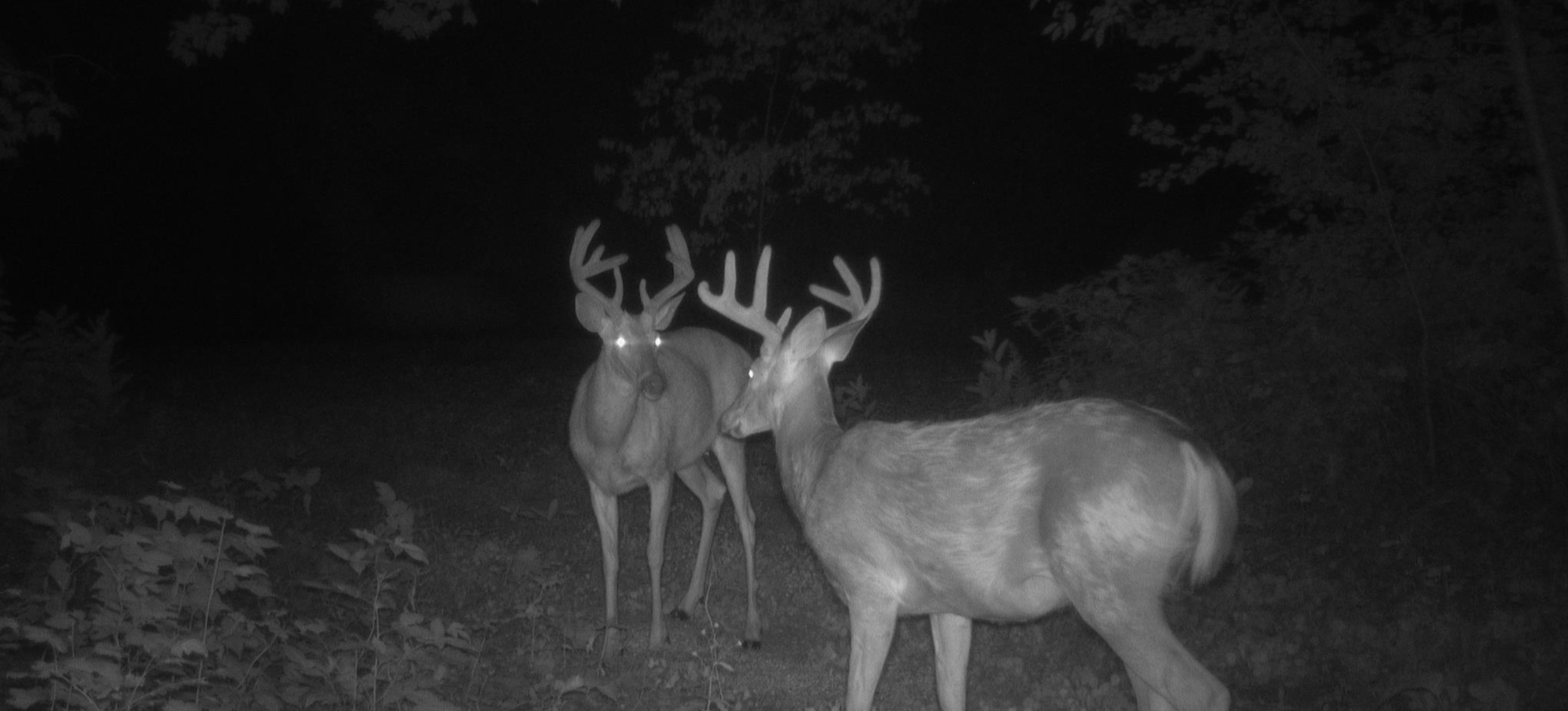 1174 230th Street Baldwin, WI 54002 - Photo 53 of 62