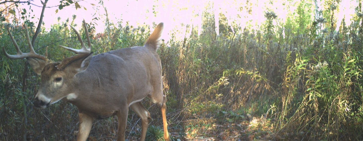 1174 230th Street Baldwin, WI 54002 - Photo 55 of 62