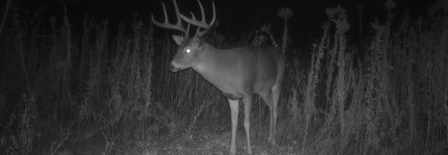 1174 230th Street Baldwin, WI 54002 - Photo 56 of 62