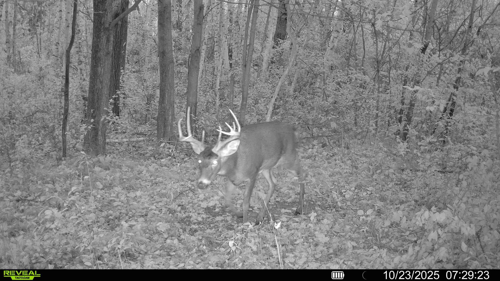 1174 230th Street Baldwin, WI 54002 - Photo 58 of 62