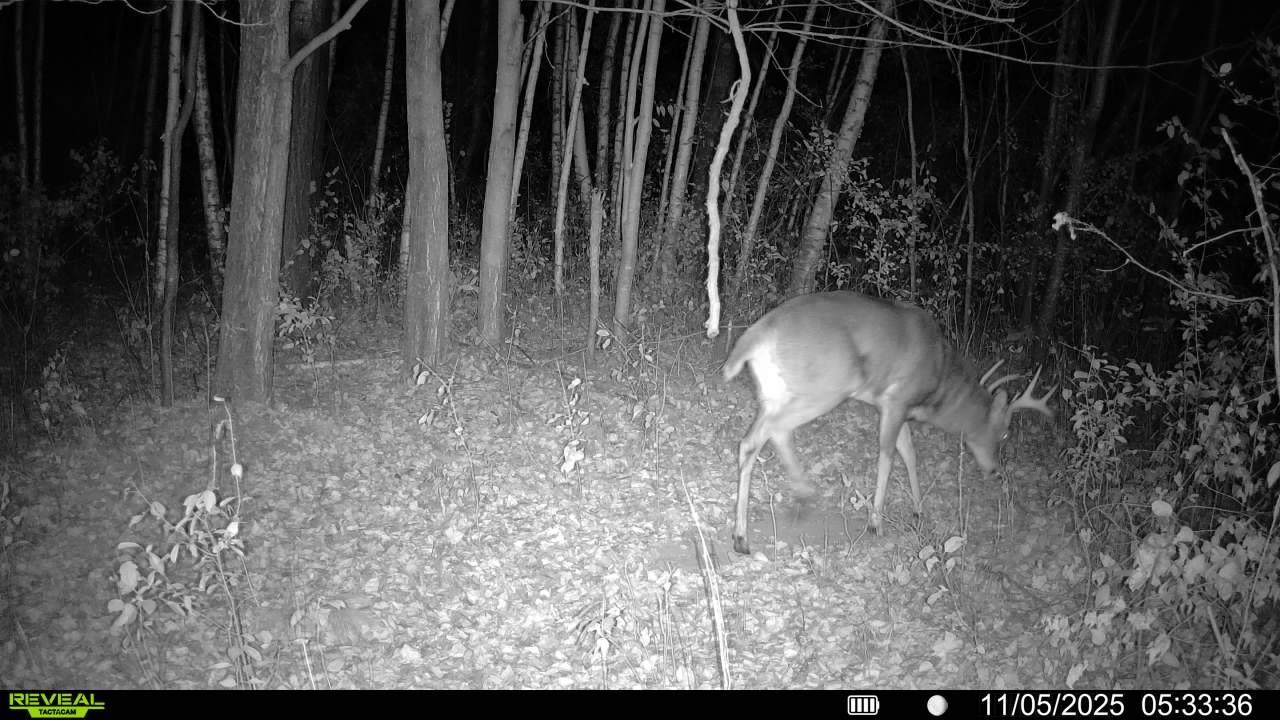 1174 230th Street Baldwin, WI 54002 - Photo 61 of 62