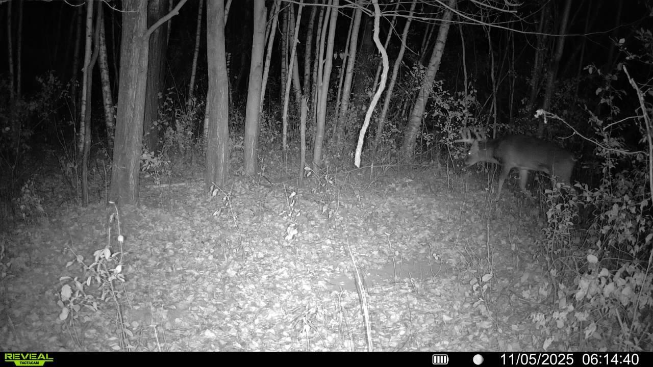 1174 230th Street Baldwin, WI 54002 - Photo 62 of 62