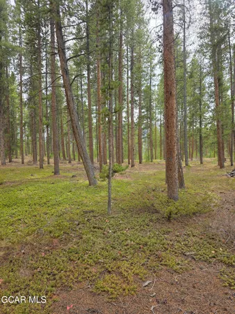 $380,000 | 71 Fairway Lane, Tabernash, CO 80478