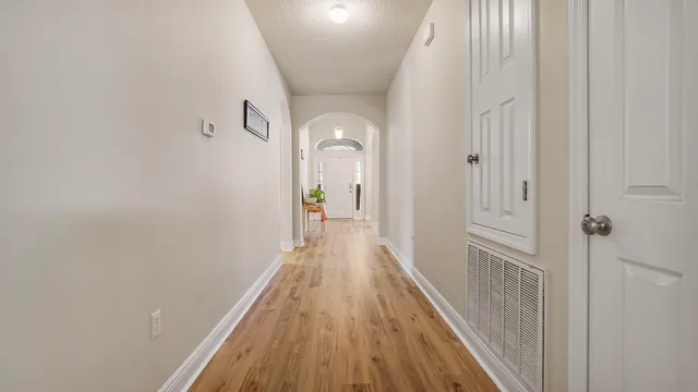 a view of a forest with trees in the background