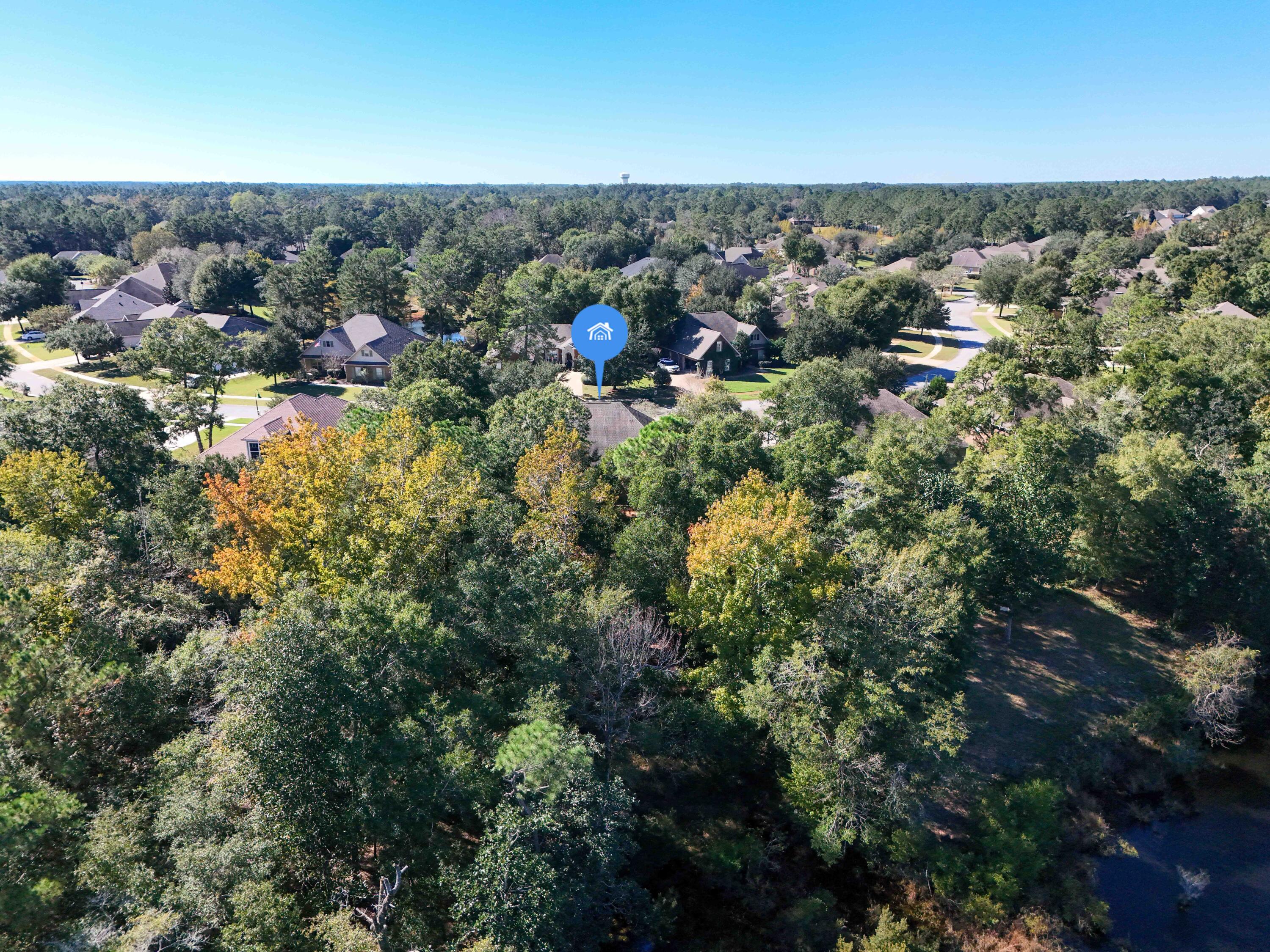 446 Mango Lane Freeport, FL 32439 - Photo 55 of 74 Aerial