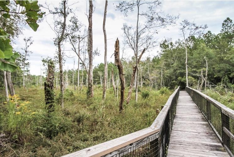 446 Mango Lane Freeport, FL 32439 - Photo 68 of 74 Hammock Bay