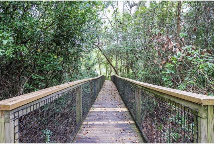 446 Mango Lane Freeport, FL 32439 - Photo 69 of 74 Hammock Bay