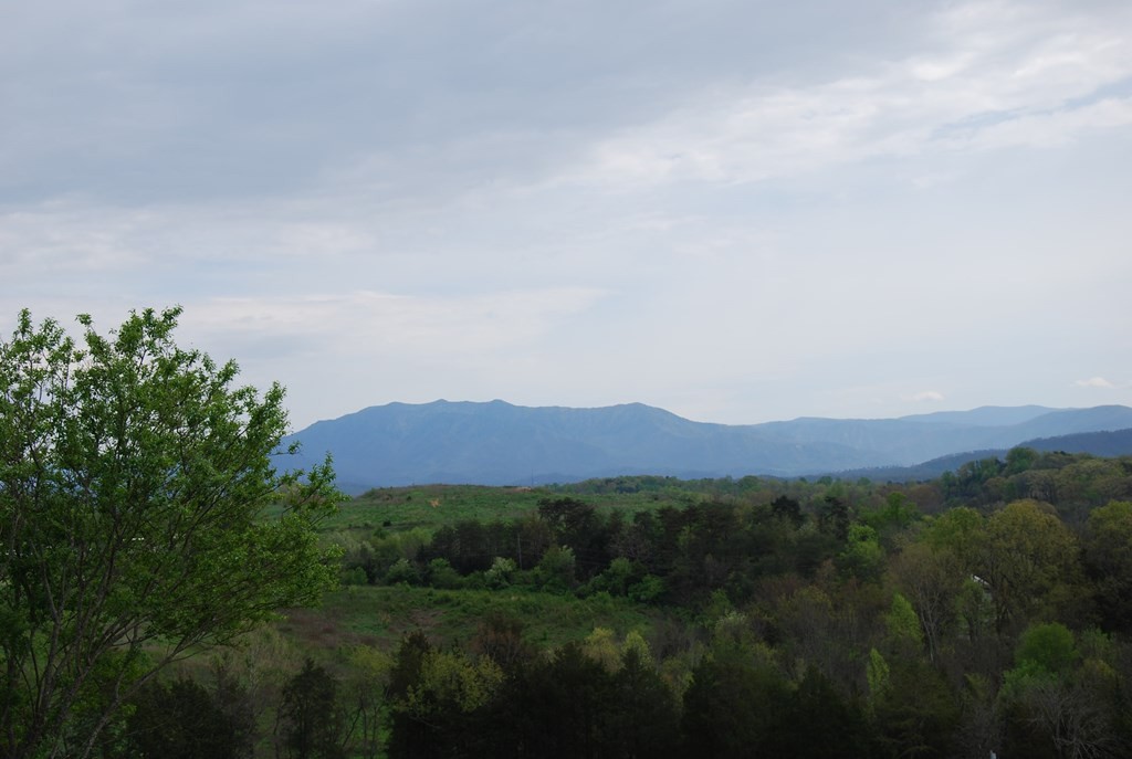 1584 Rainbow Ridge Way Sevierville, TN 37862 - Photo 2 of 2