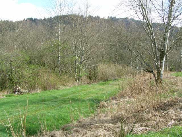 41 Skyview Road Tillamook, OR 97141 - Photo 8 of 33 P3180267