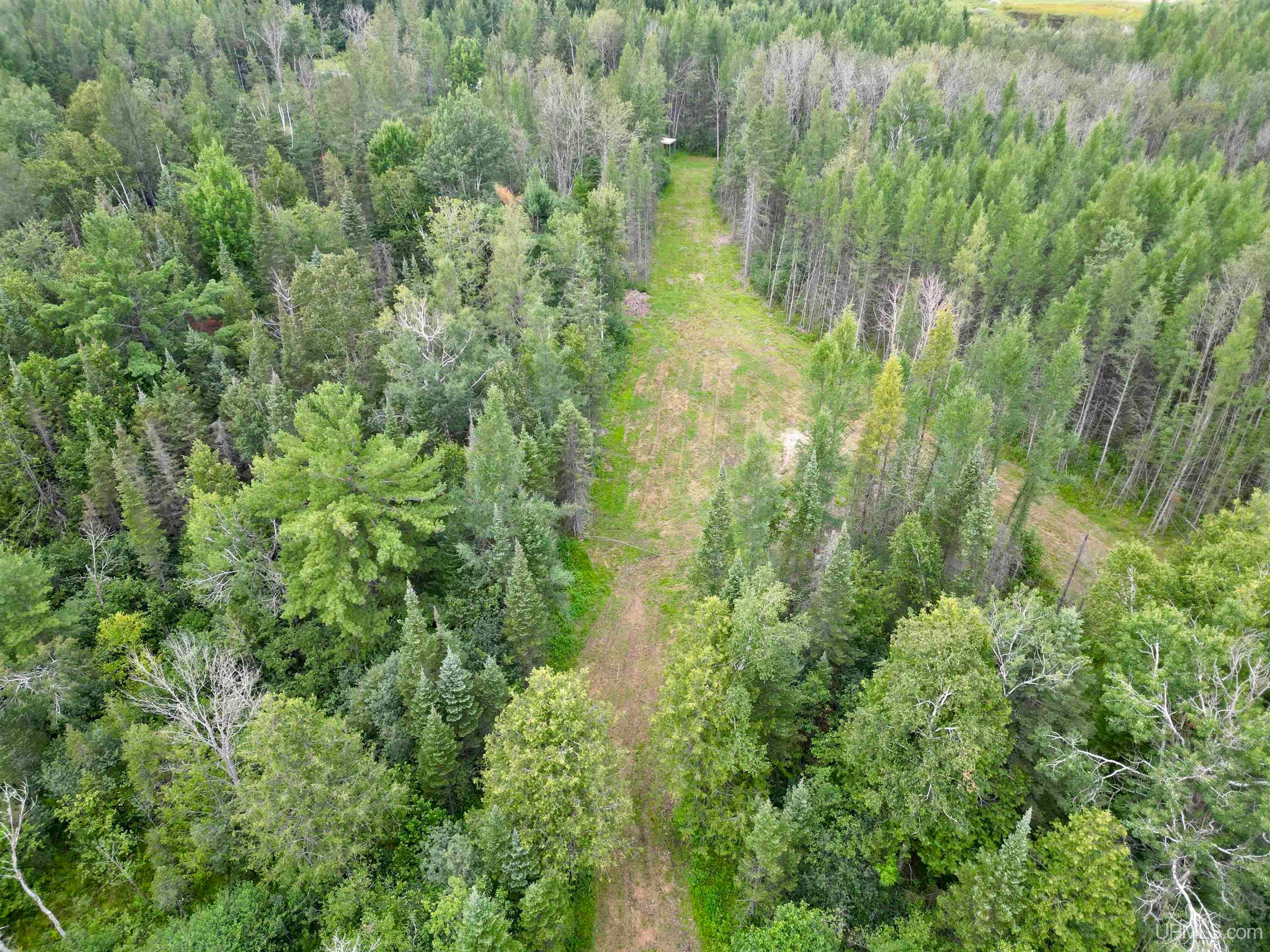 1509 8th Road Bark River, MI 49807 - Photo 17 of 36 Gallery Image 17