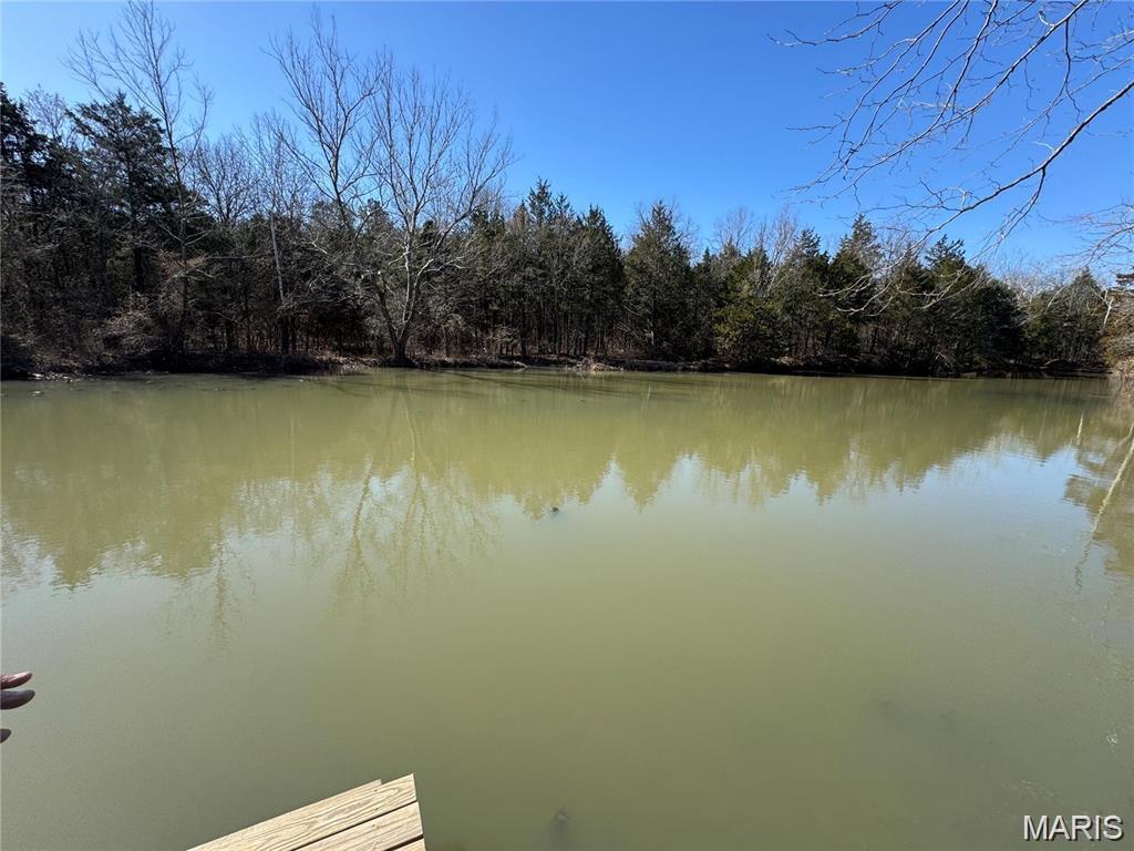 10330 Bottom Diggins Road Cadet, MO 63630 - Photo 12 of 14