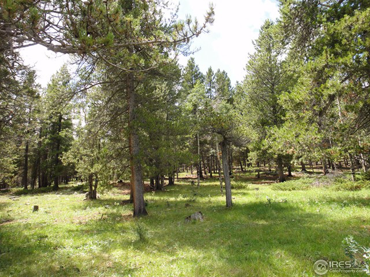 3 Rudolph Ranch Road Black Hawk, CO 80422 - Photo 2 of 7 Gallery Image 2