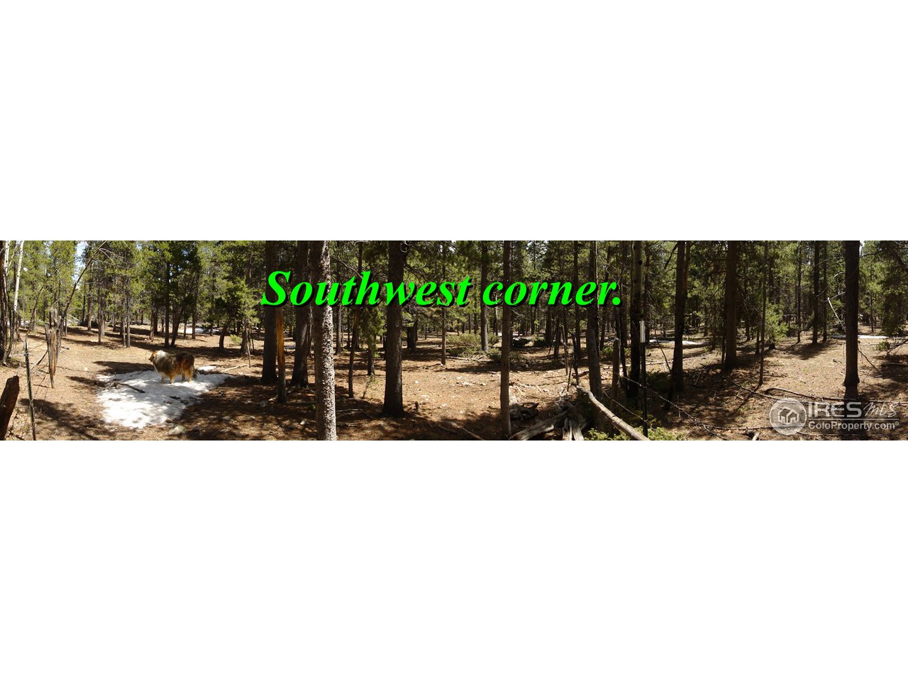 3 Rudolph Ranch Road Black Hawk, CO 80422 - Photo 3 of 7 Gallery Image 3