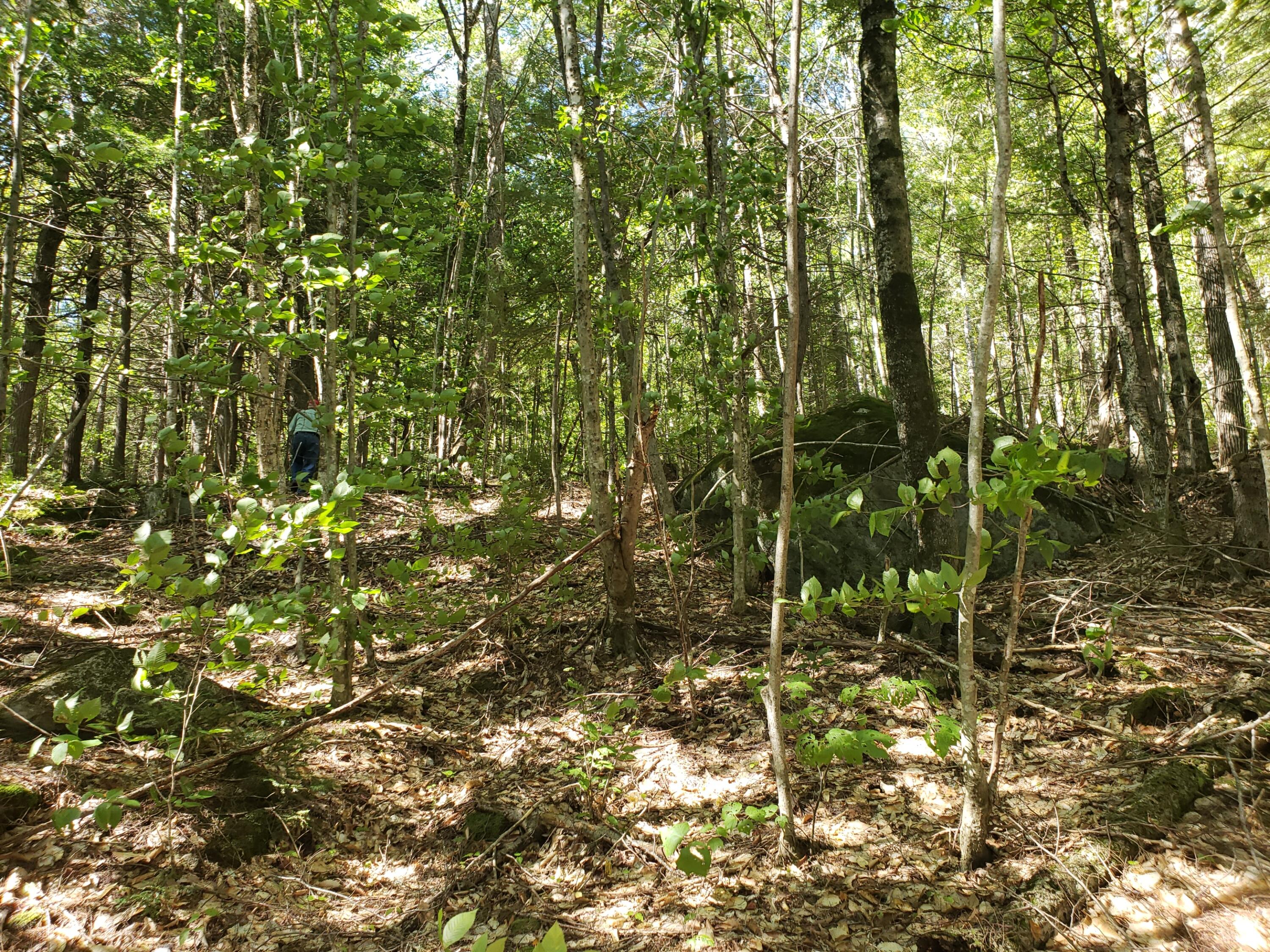 0 Off Mountain Stoneham, ME 04231 - Photo 22 of 32 inner lot