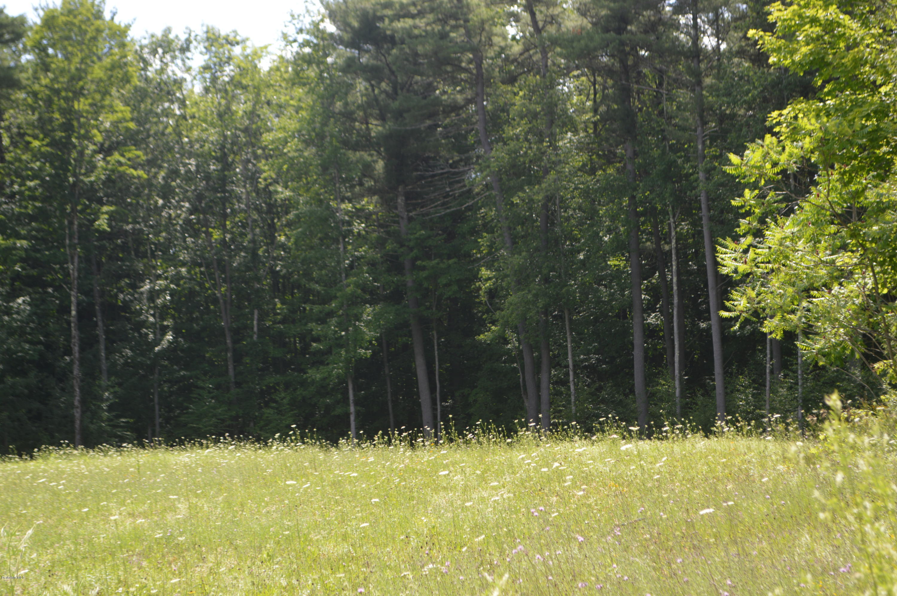 11 Stoneledge Road Lenox, MA 01240 - Photo 1 of 2 DSC_0029 (1)