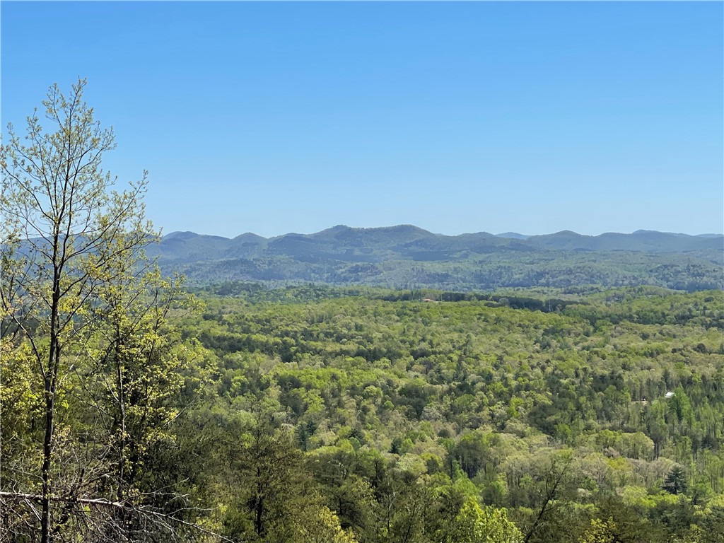 Lot S-27 Tamassee Ridge Way Salem, SC 29676 - Photo 11 of 21