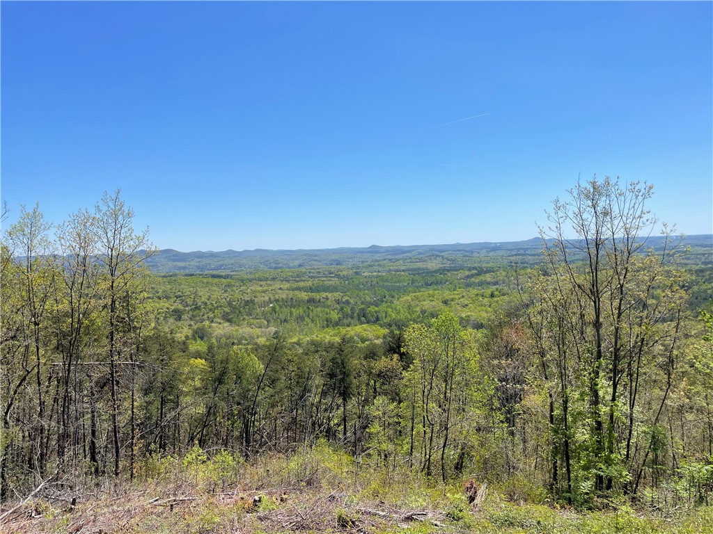 Lot S-27 Tamassee Ridge Way Salem, SC 29676 - Photo 12 of 21