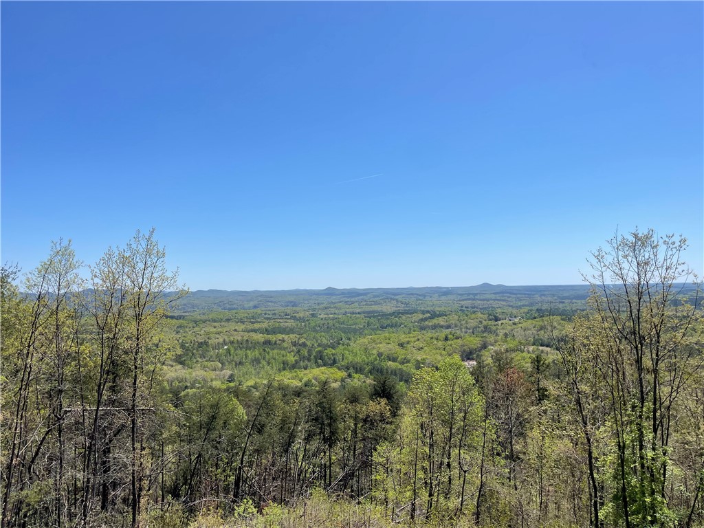 Lot S-27 Tamassee Ridge Way Salem, SC 29676 - Photo 15 of 21