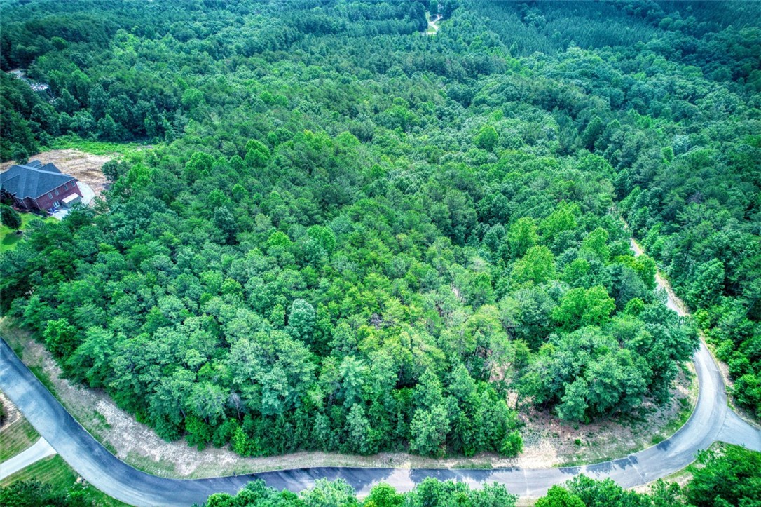 Lot S-27 Tamassee Ridge Way Salem, SC 29676 - Photo 21 of 21