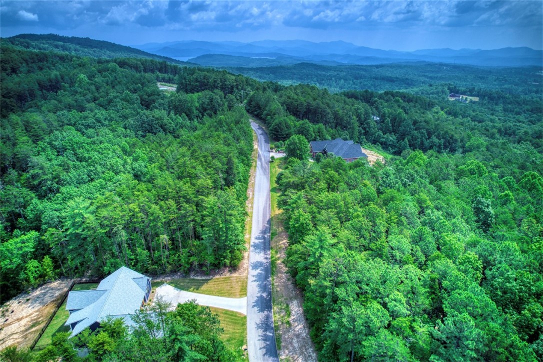 Lot S-27 Tamassee Ridge Way Salem, SC 29676 - Photo 3 of 21