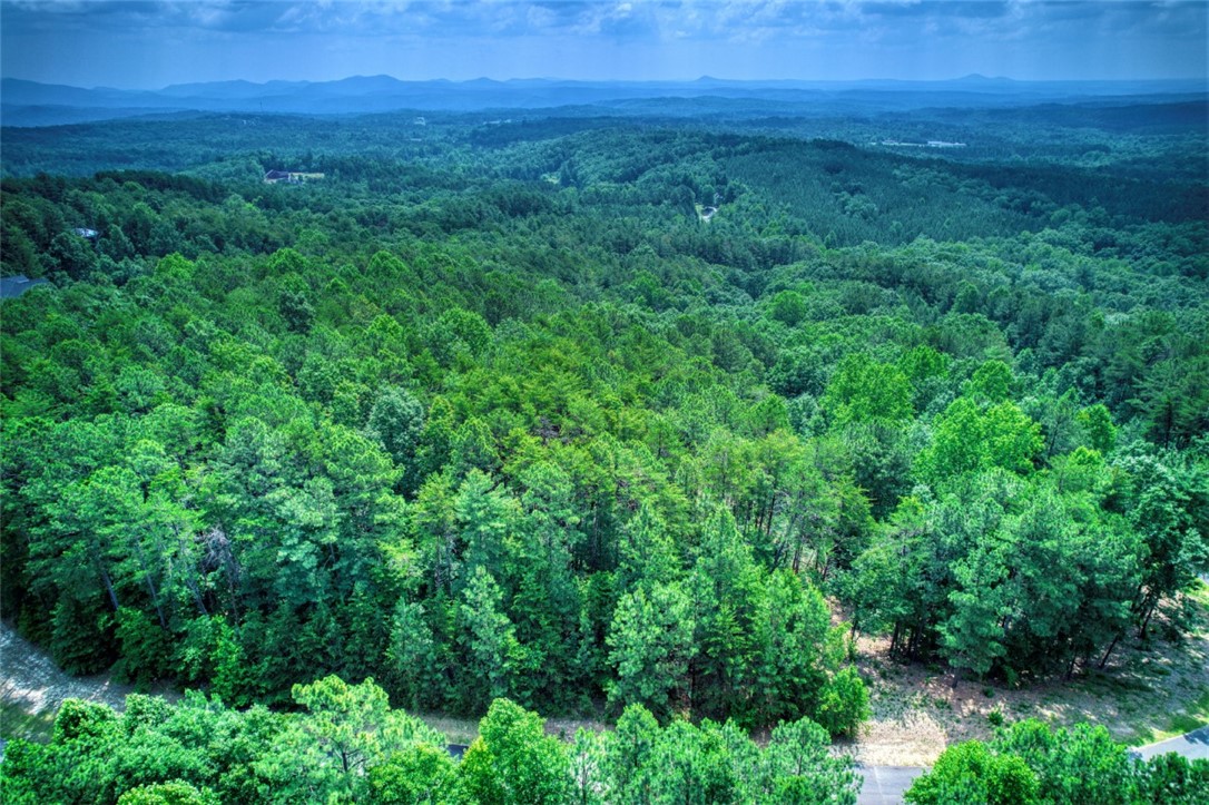 Lot S-27 Tamassee Ridge Way Salem, SC 29676 - Photo 4 of 21